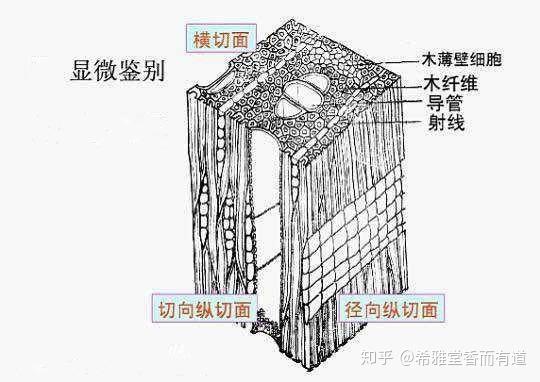 让你从不懂沉香的菜鸟一步入门第二更