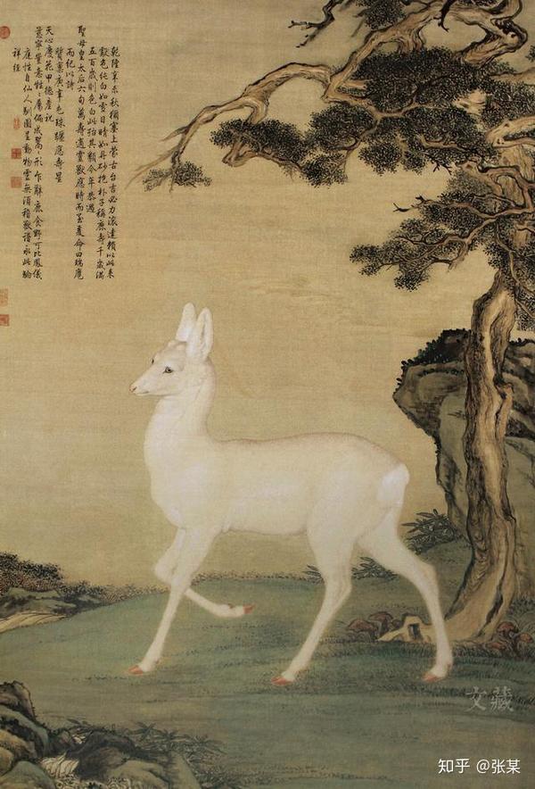 (清郎世宁台北故宫博物院藏) 古人为何视白鹿为神兽呢?