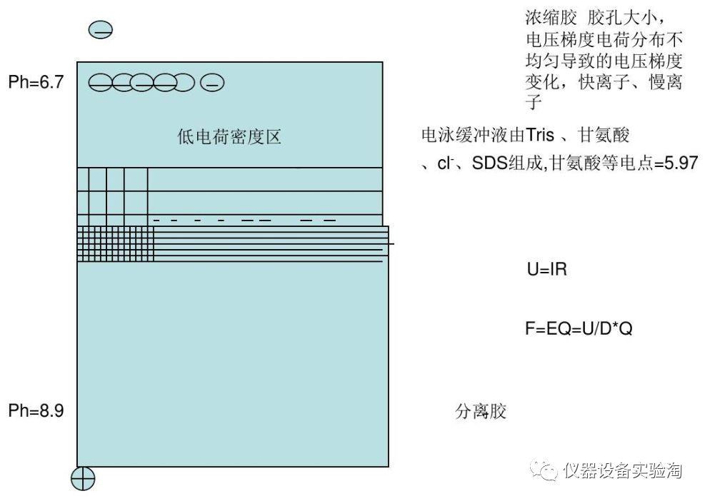 仪器百科之仪器类型简介凝胶电泳