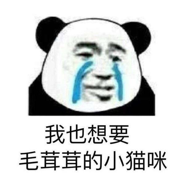 手机一收到消息我就知道是室友又在群里斗图了,最近比较火的肯定是