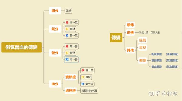 卫气营血辨证 xm思维导图整理