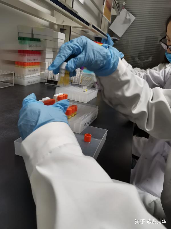 我在人体药物临床试验中心工作
