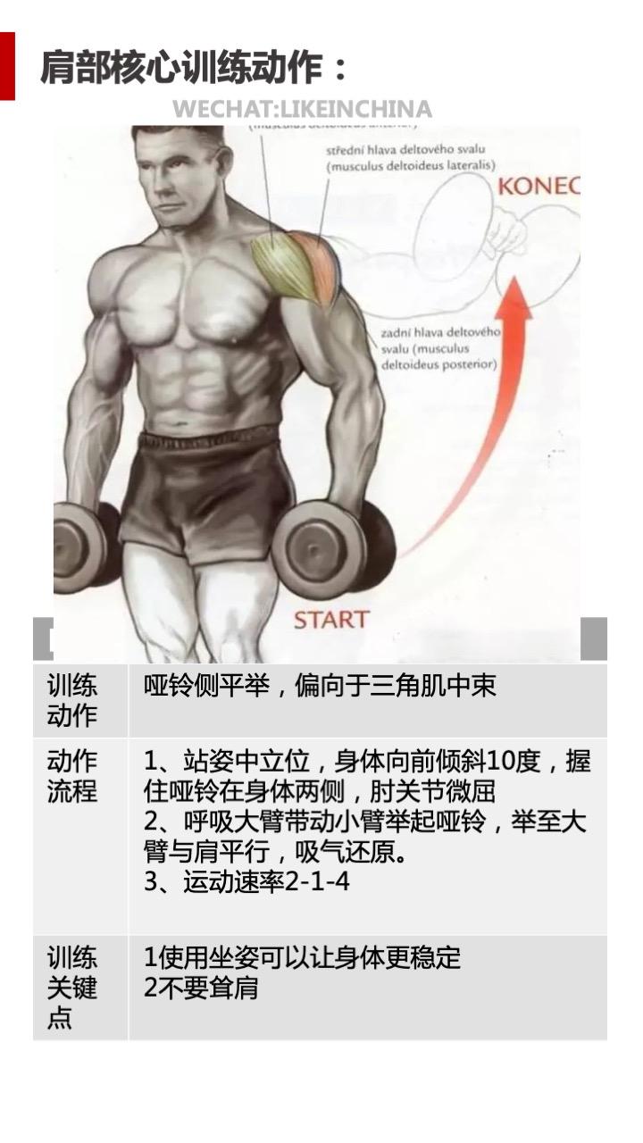 三角肌主要训练动作
