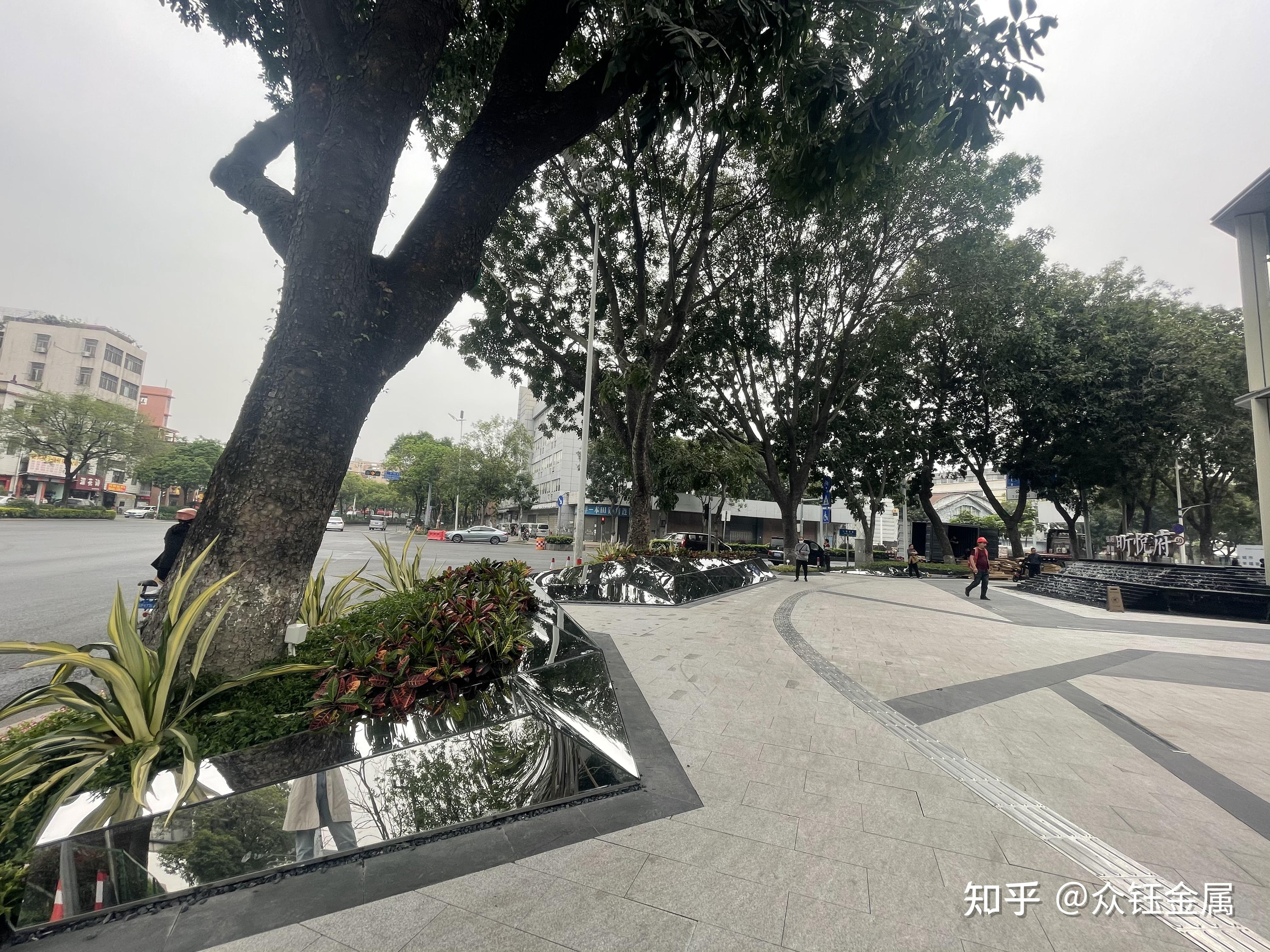 园林景观异形不锈钢树池 纯艺术造型树池成品图 弧形树池创新作品