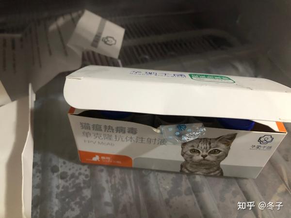 关于猫瘟怎么治疗