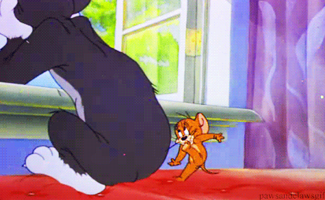 你有哪些让你一秒变开心的表情包?