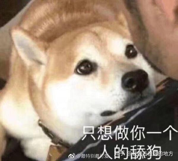 知道 我永远是我喜欢的女孩的舔狗
