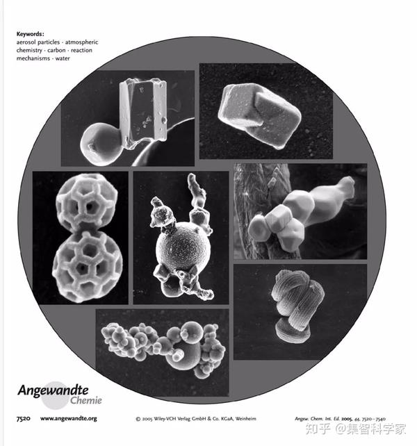 大气颗粒物的微观结构.来源[1]