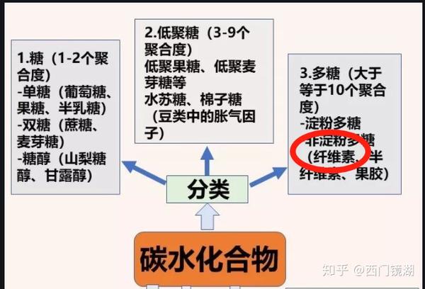 膳食纤维 因为膳食纤维属于碳水化合物当中不能被身体吸收消化的部分