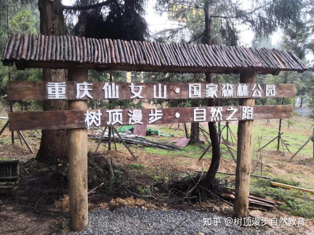 树顶漫步仙女山自然教育营地项目介绍