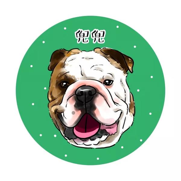 宠物斗牛犬可爱卡通漫画头像,你来嗮我来画!
