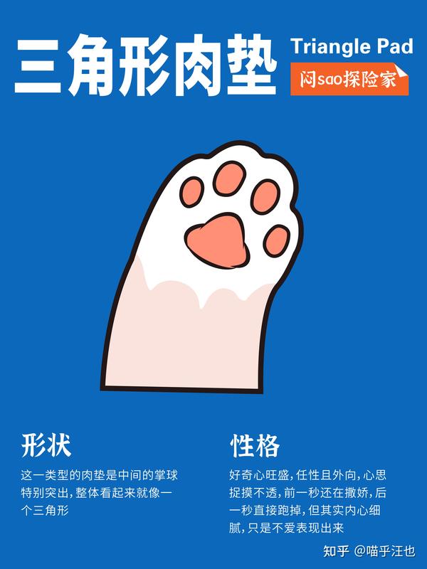 你知道不同的猫爪形状代表猫咪什么性格吗
