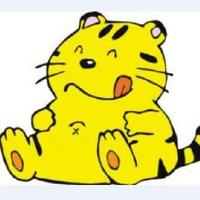 大懒猫