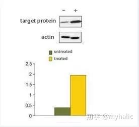 wb的灰度值计算,你都会了吗?