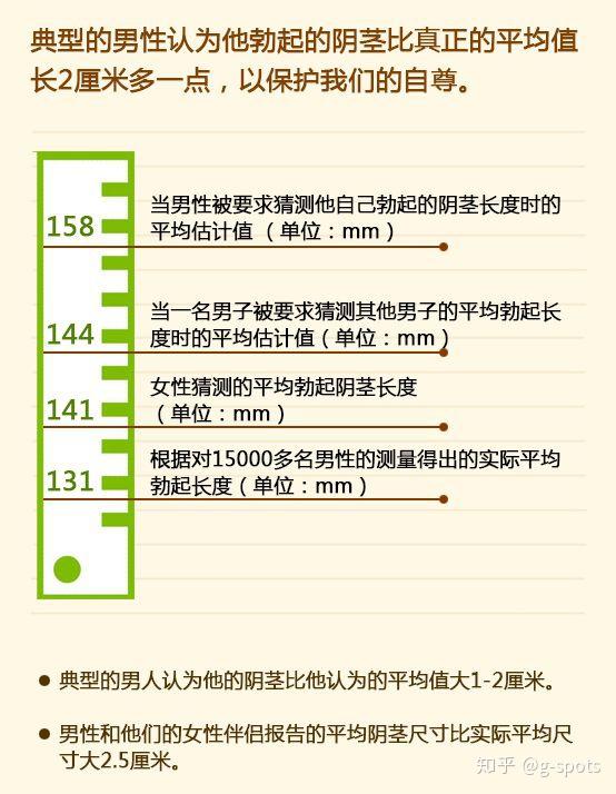 她们将男性的平均丁丁长度定为14.
