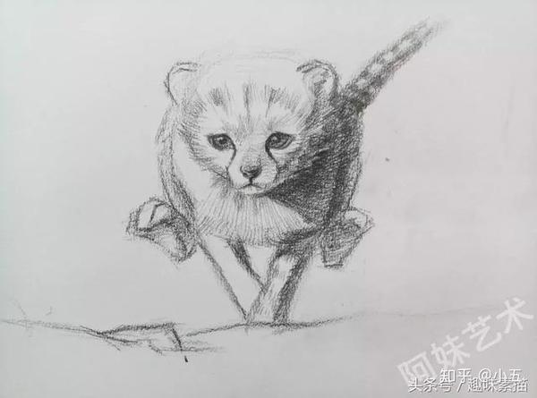 素描教程:奔跑的小猎豹