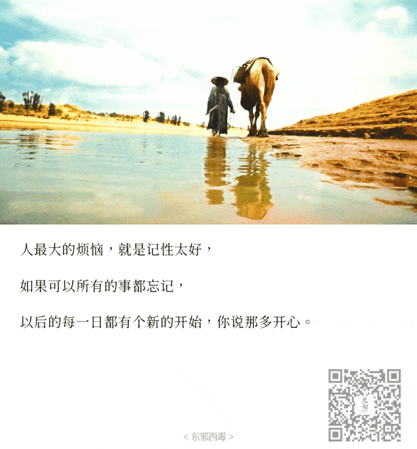 终极版经典台词截图:其实