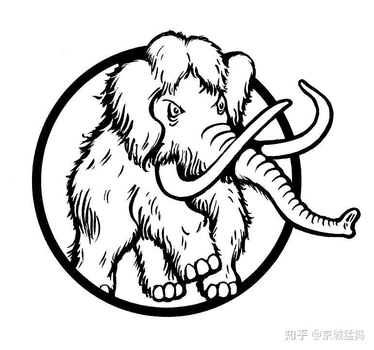 猛犸象牙是什么材质