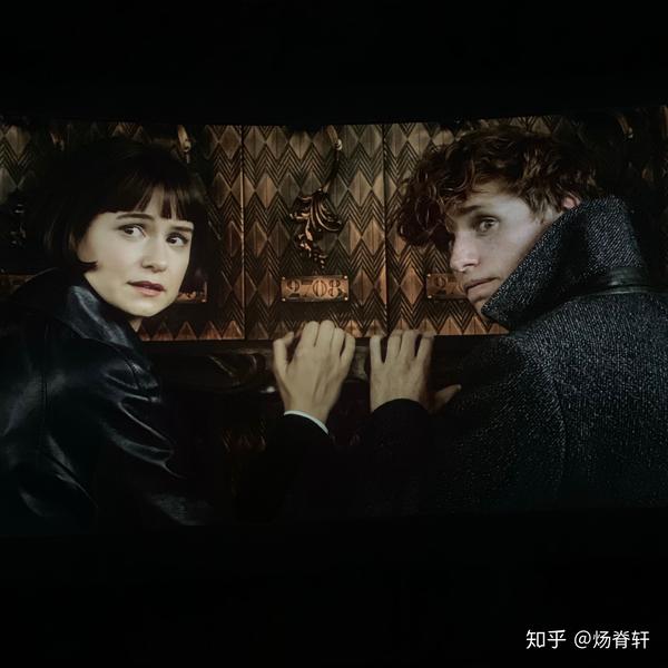 如何评价电影《神奇动物在哪里2:格林德沃之罪》?