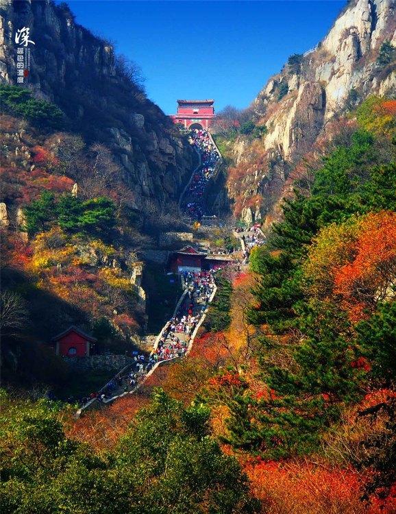 爬泰山从山脚到山顶看日出再下来都需要哪些开销?总共需要多少钱?