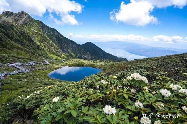 云南·大理·苍山·洗马潭[爱心] 杜鹃花已开[爱心][爱心][爱心]