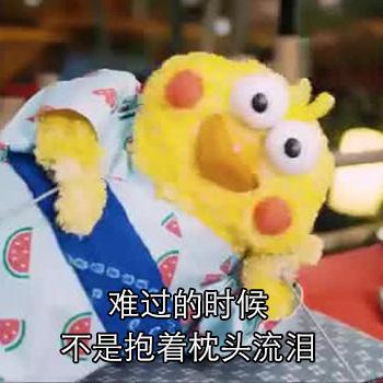 表情包:年轻人,难过的时候不是抱着枕头哭,而是这样做