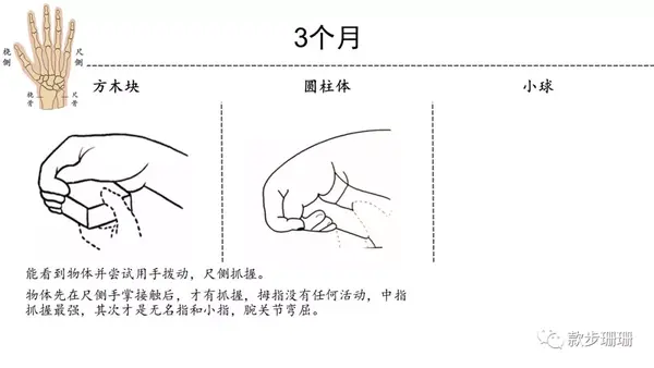 心灵手巧简单自测1岁内宝宝手部精细运动