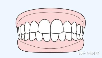 矫正牙齿之后,可以改善上下牙列的相互位置,也就是牙齿的咬合关系