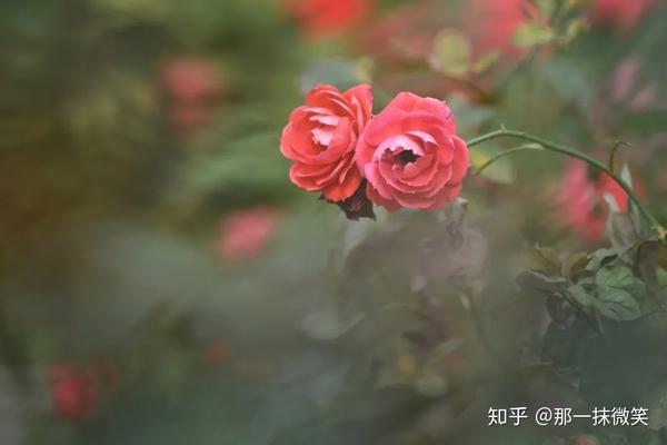 最美不过初相遇