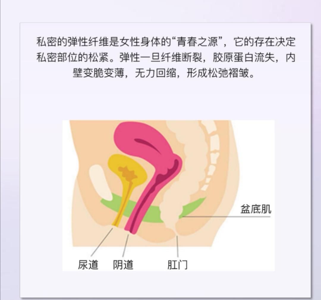 这是由于盆地肌的过度牵拉导致盆底肌失去弹性.