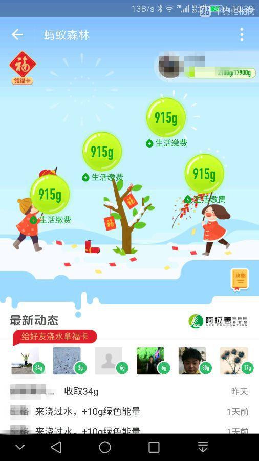 为什么支付宝的蚂蚁森林有的人第二天能量有好几百?