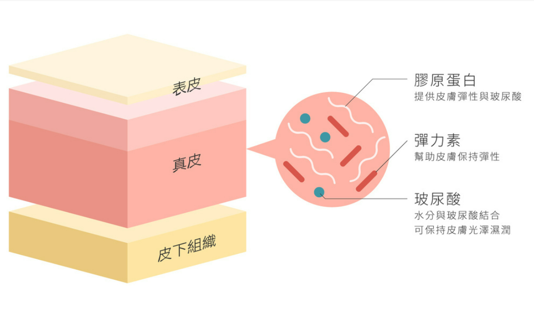 羿博士为您分析通过食物补充胶原蛋白靠谱么