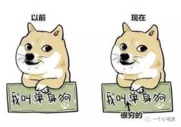 2020 仍然还是单身狗?