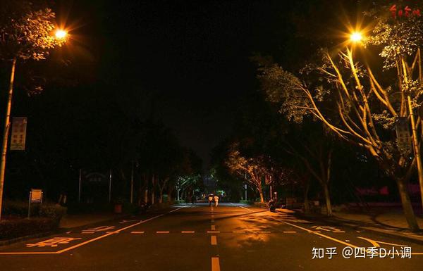 图片.初秋的校园林荫大道
