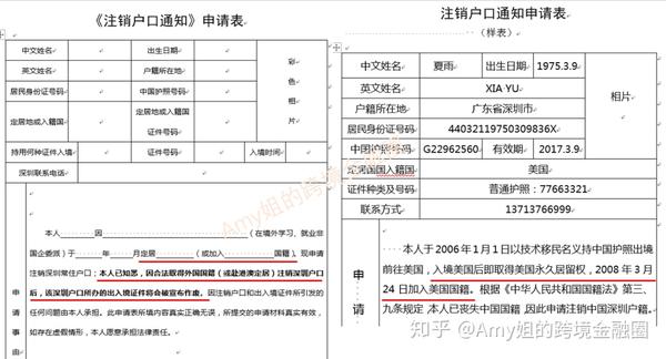 图:深圳注销户口申请表(公安官网示例)