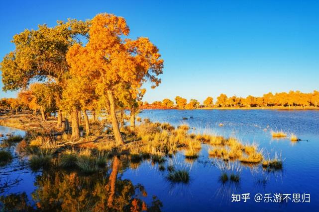 内蒙古旅游|待疫情散去,一起去阿拉善赏绝美风景!