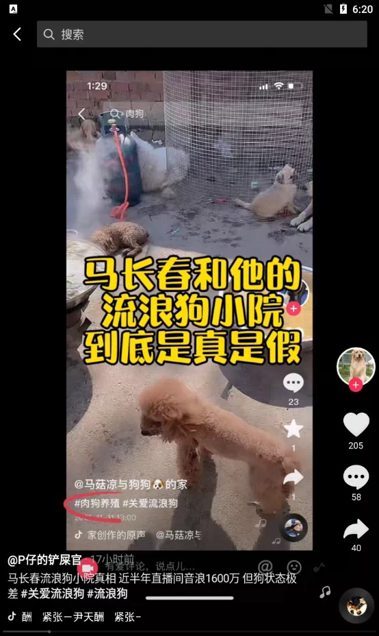 抖音百万粉丝的网红流浪狗与马长春被扒流浪狗最终归宿是被食用半年大