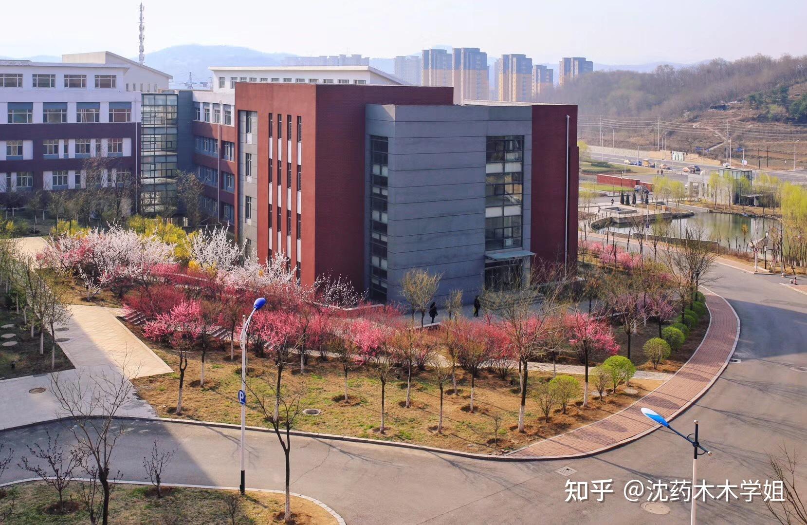 大美沈药沈阳药科大学校园美景随手拍