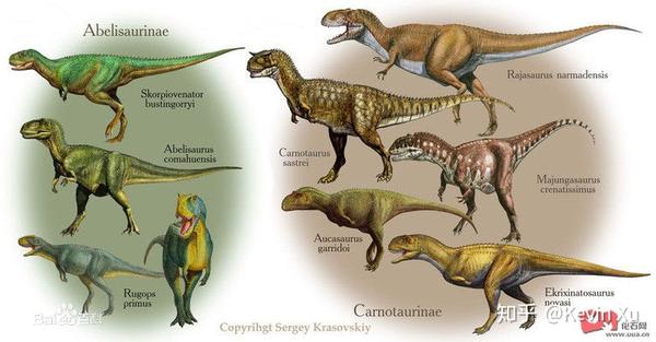 按照目前比较公认的恐龙分类,所有肉食恐龙都属于兽脚亚目,他们大概都