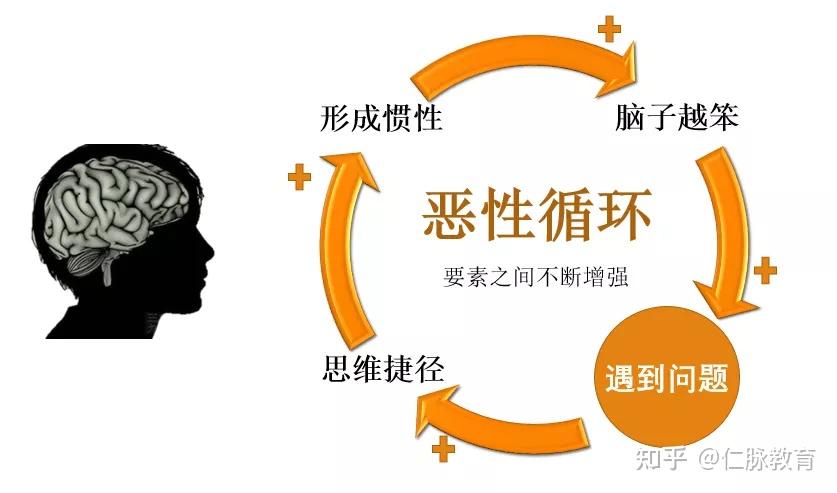 02,为什么我们很难做到透过现象看到本质?