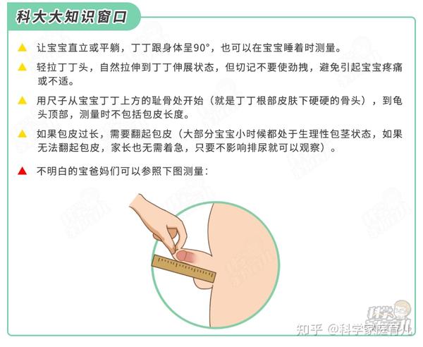 男娃生殖器多大才正常?妈妈们要注意,重可影响生育!