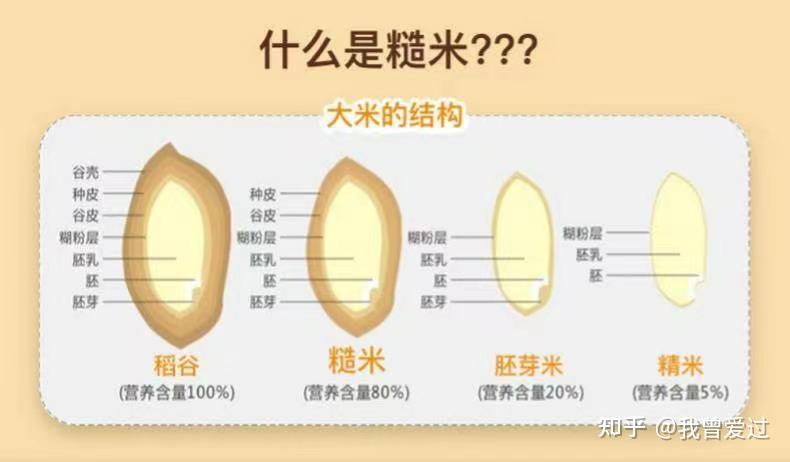 没营养易发胖大米这些年背过哪些黑锅