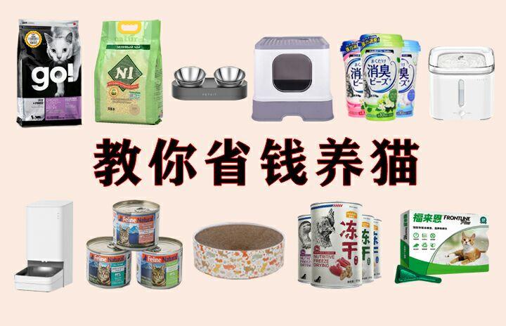 新手养猫必备物品清单附养猫省钱秘籍