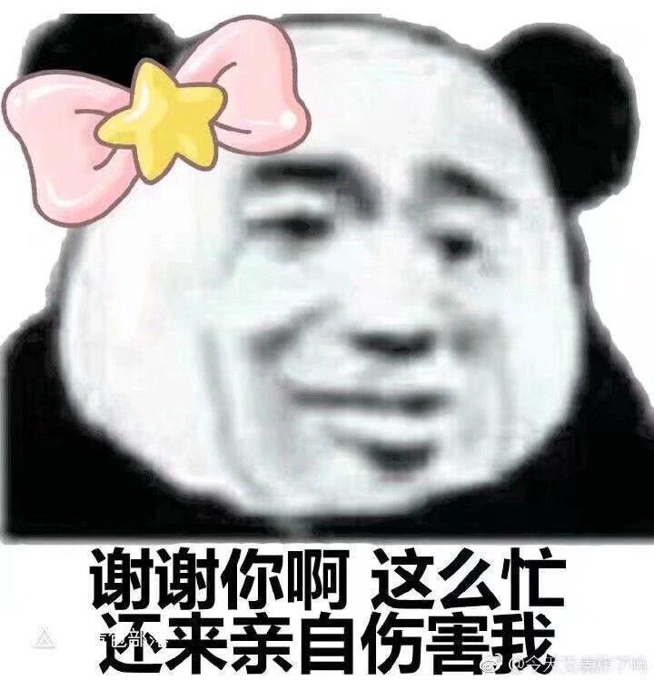 有哪些爱不释手的沙雕表情包