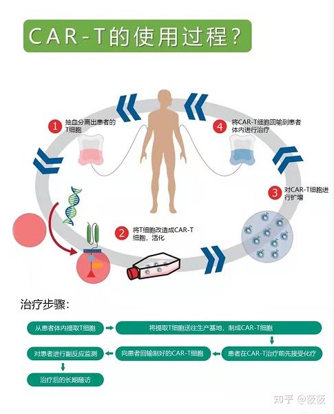 3,cart细胞疗法的效果怎么样?