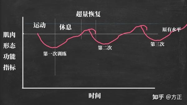 出自《运动训练学》:人体机能水平变化的曲线图2