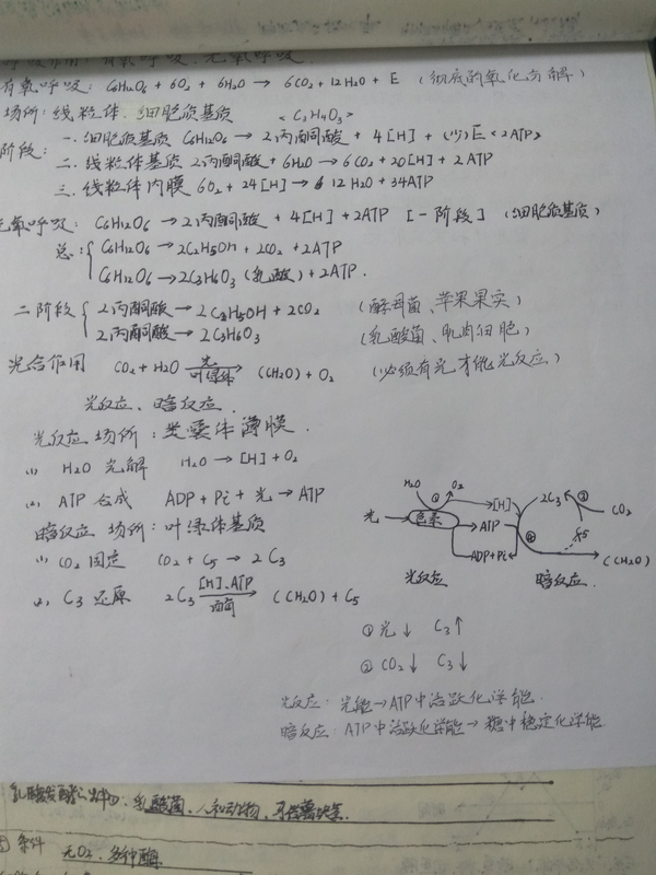 幼儿教案范文小班_幼儿园小班实习教案范文_幼儿小班教案。 数学