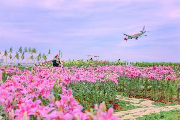 赏花正当时双流初夏赏花地图出炉啦拿走不谢