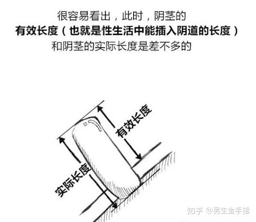 jelq挤奶法到底有没用阴茎到底能不能增大原理是什么