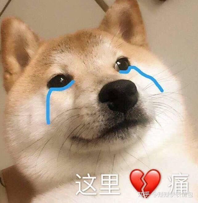 最新表情包图片:假装自己很开心